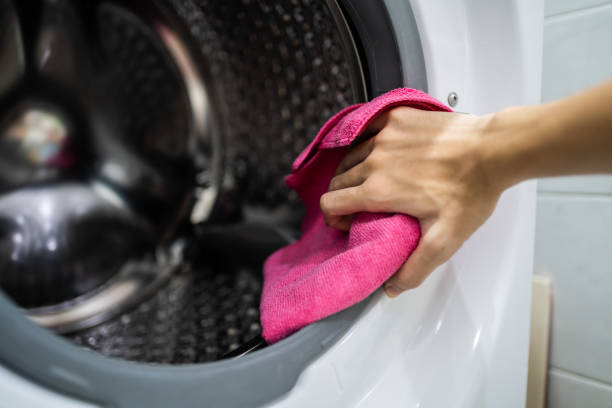 Reliable Pojoaque, NM Mold Removal Solutions