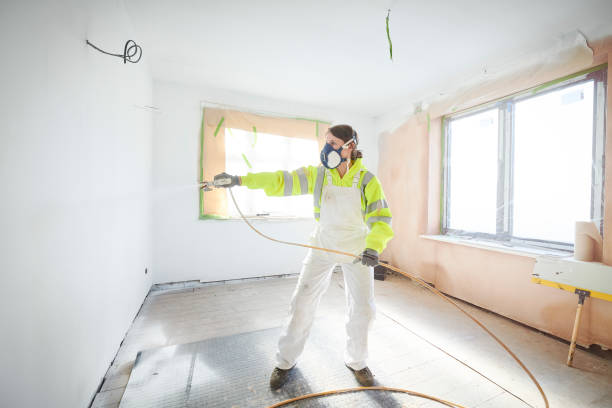 Best Mold Odor Removal Services  in Pojoaque, NM