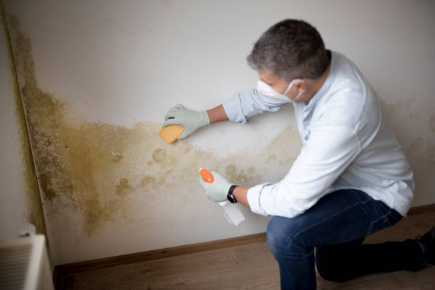 Best Biohazard Mold Removal  in Pojoaque, NM
