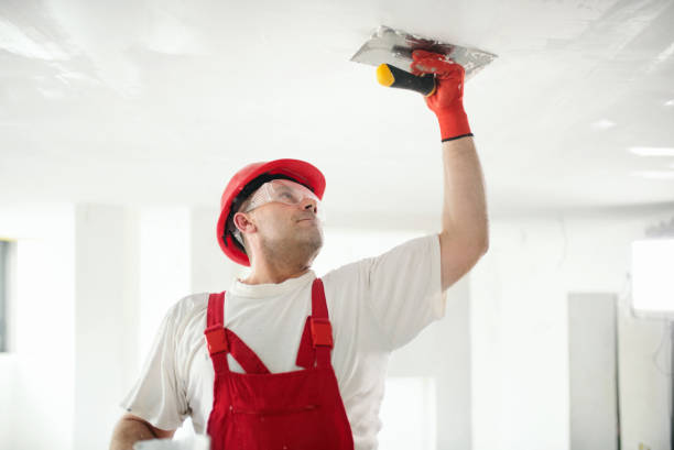 Best Mold-Related Health Consultation  in Pojoaque, NM